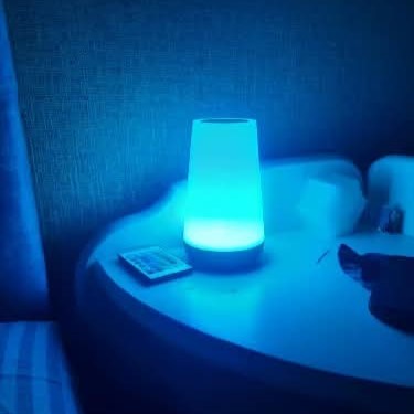 מנורת לילה עם 13 צבעים, שלט וחיישן מגע